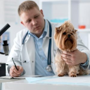 Global Clinical Care Architecture