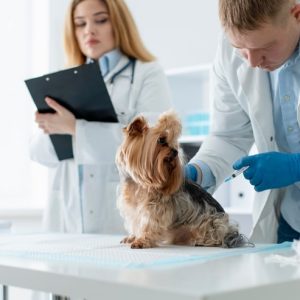 Habitat Optimization Map