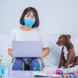 The Vet-Entrepreneur’s Toolkit